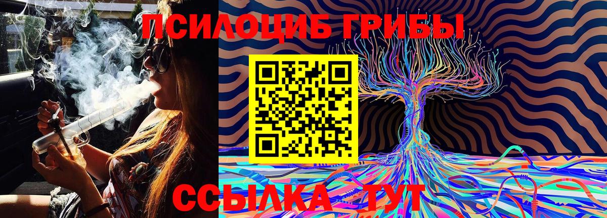 Псилоцибиновые грибы Cubensis  Галлюциногенные грибы прущие грибы  закладки  Вход с VPN  Новочеркасск 