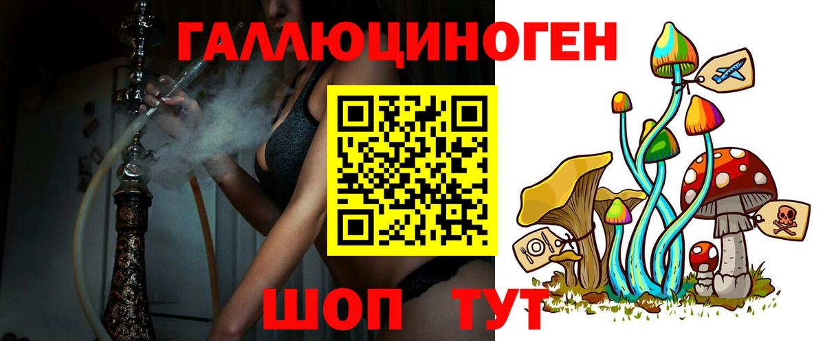 Галлюциногенные грибы Psilocybe Новочеркасск
